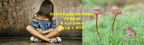 дживик Алзамай