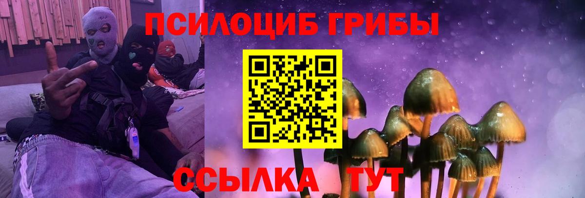 Галлюциногенные грибы Psilocybe  Вход с VPN  Железноводск  Псилоцибиновые грибы GOLDEN TEACHER 